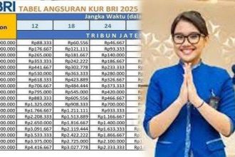 Tabel KUR BRI 2025 Pinjaman Rp100 Juta