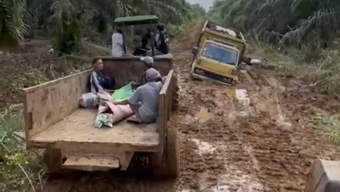 Traktor Sawit Angkut Jenazah Viral di Jambi