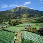 Wisata Alam Sitegong Nampan